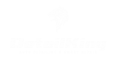 detailking_logo